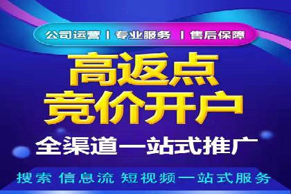充值高返点的成功之路：多角度案例分析